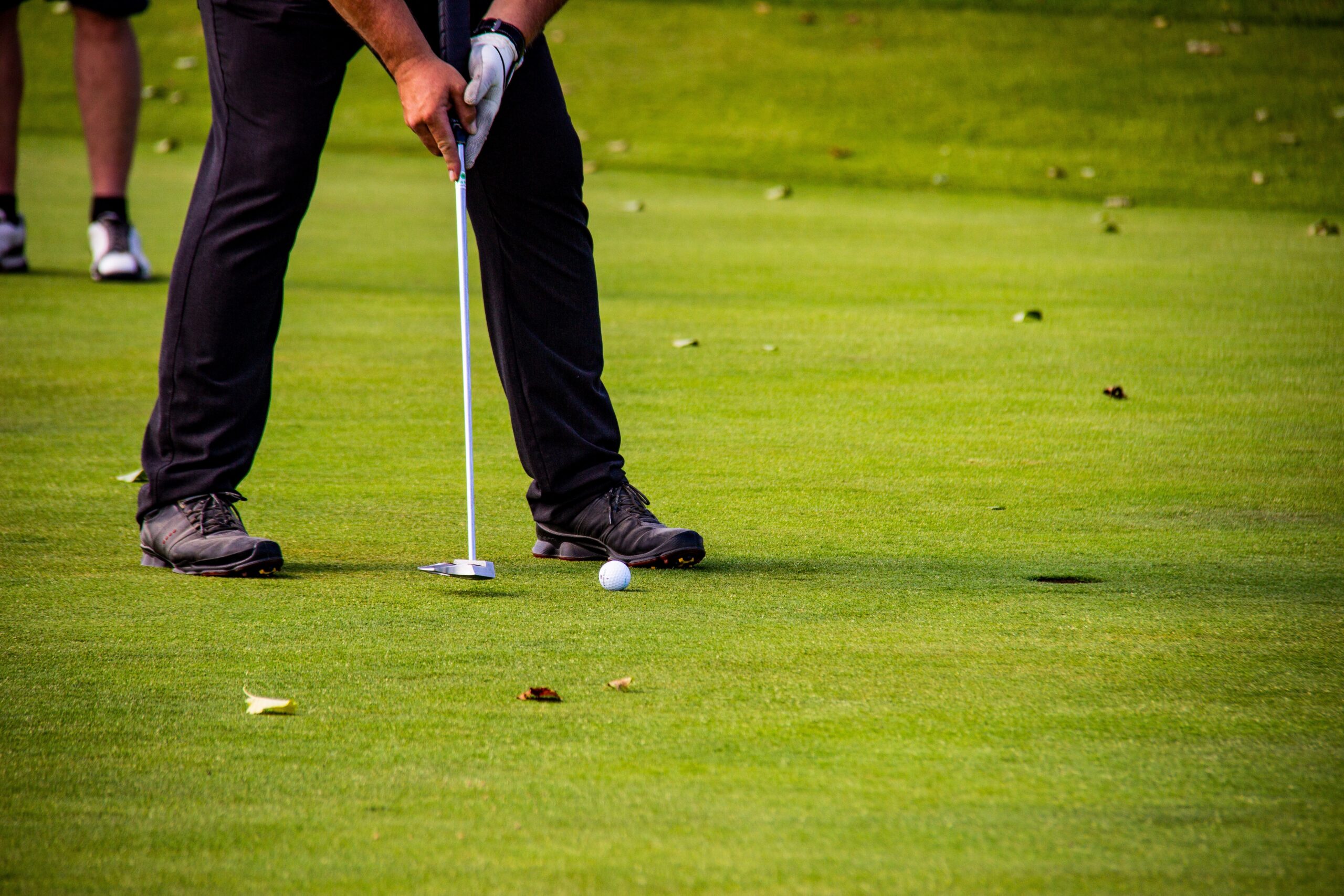 chris_cross-golf-3546658
